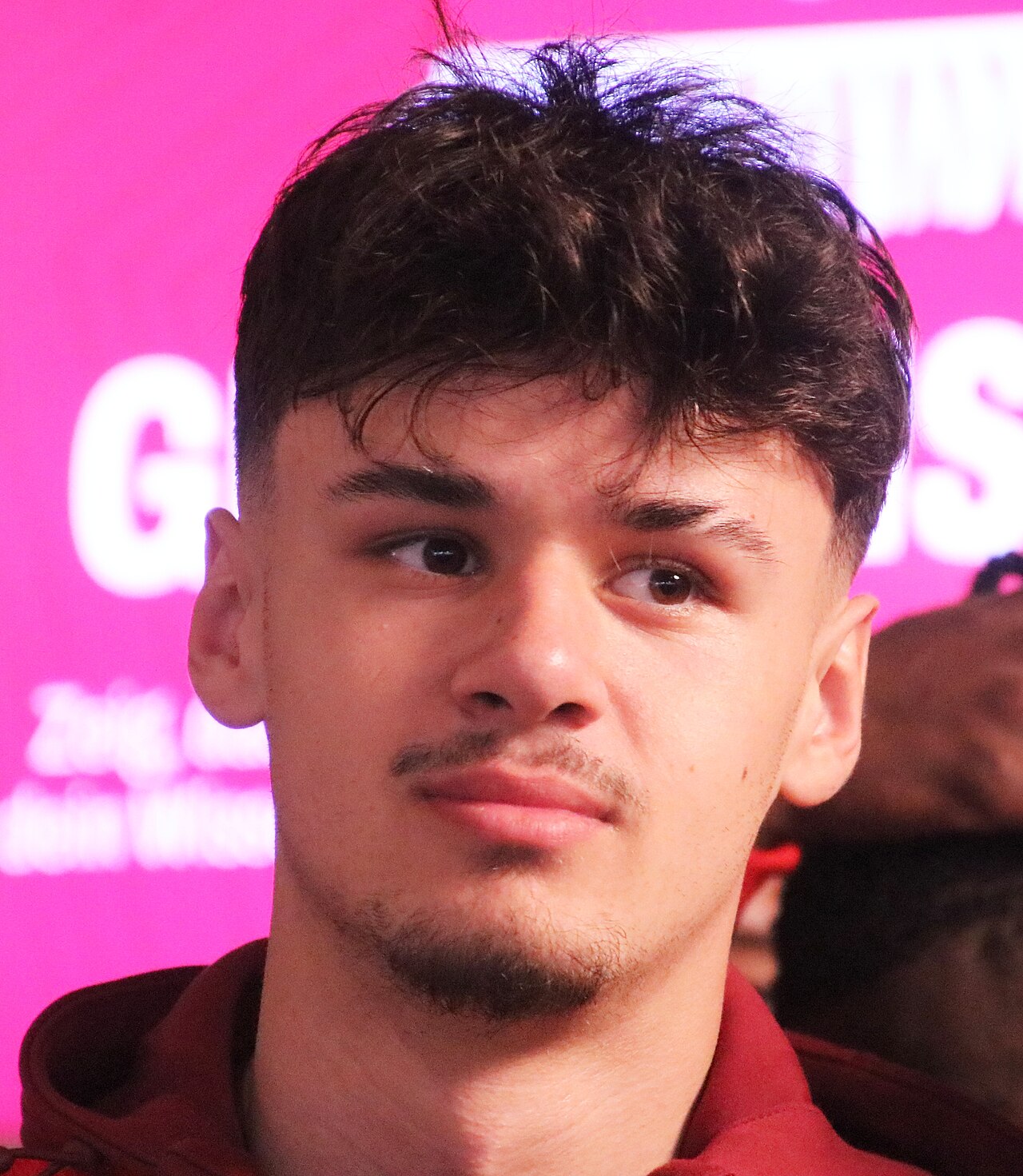 Kerim Alajbegovic