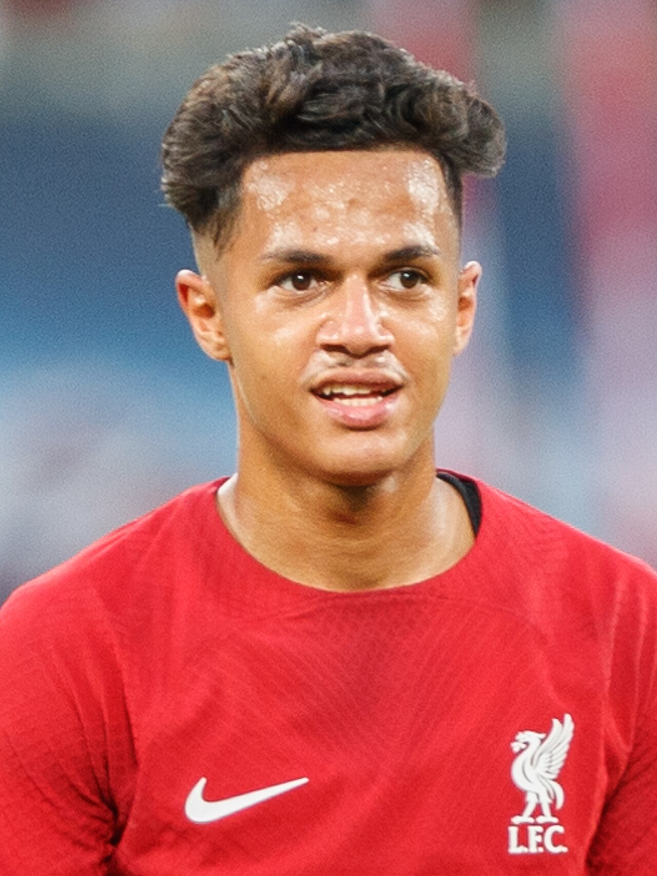 Fábio Carvalho