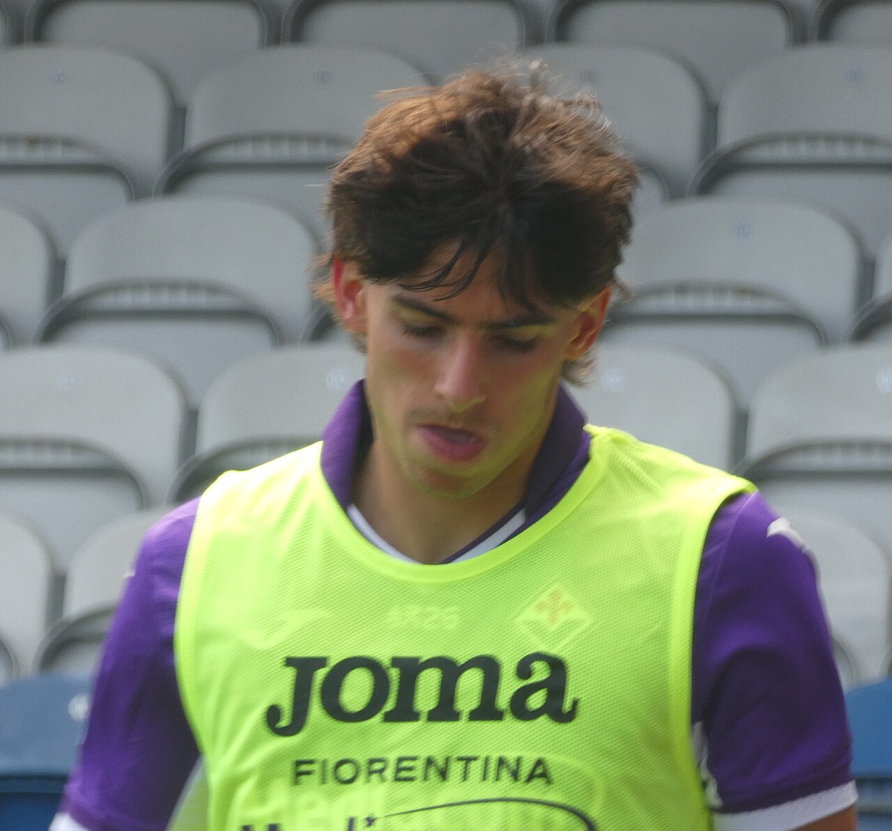 Niccolò Fortini