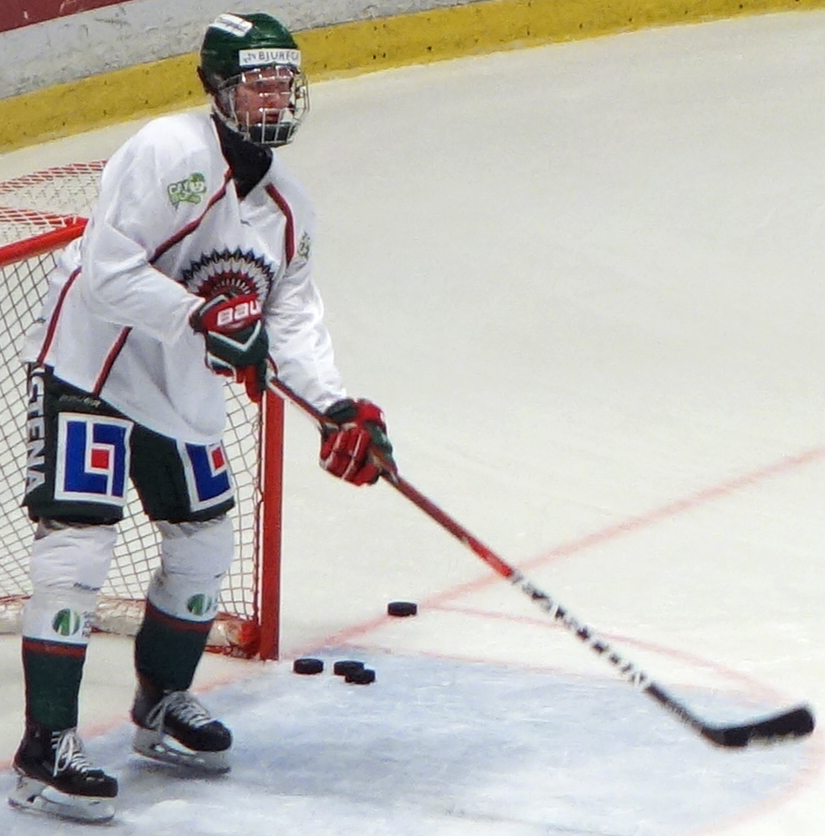 Rasmus Dahlin